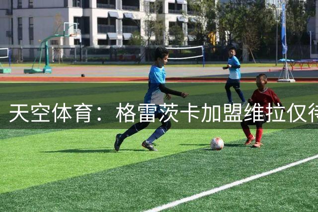天空体育：格雷茨卡加盟维拉仅待体检，或签约至2029年